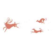 Illustration. A buck, chased by hunting dogs.